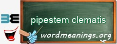 WordMeaning blackboard for pipestem clematis